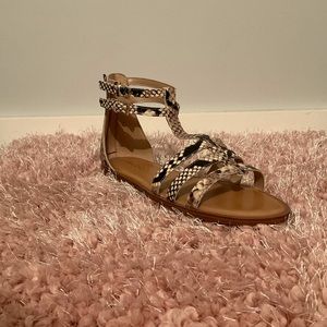 ALDO “Mutisia” snake print gladiator sandals size8